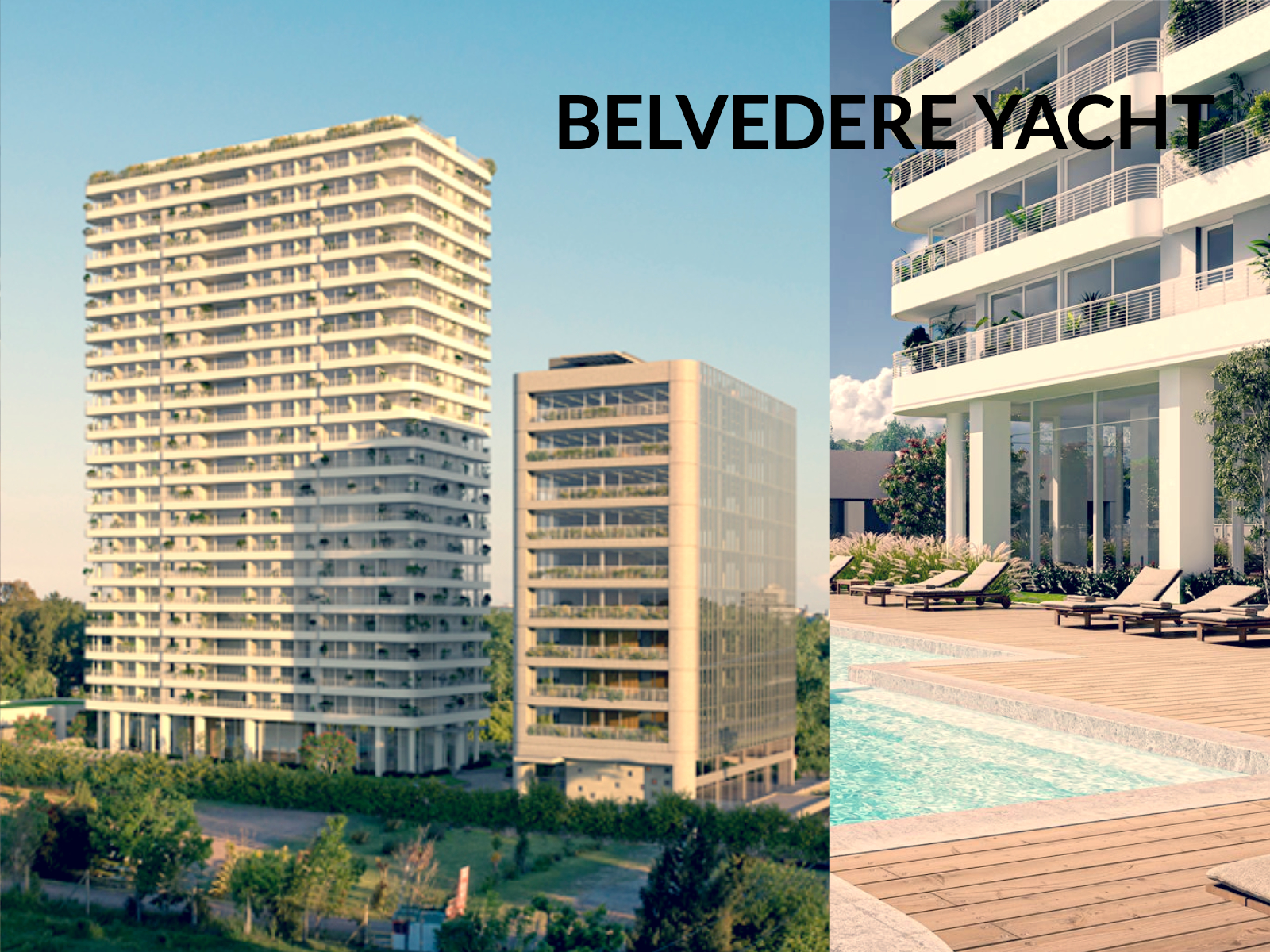 BELVEDERE YACHT