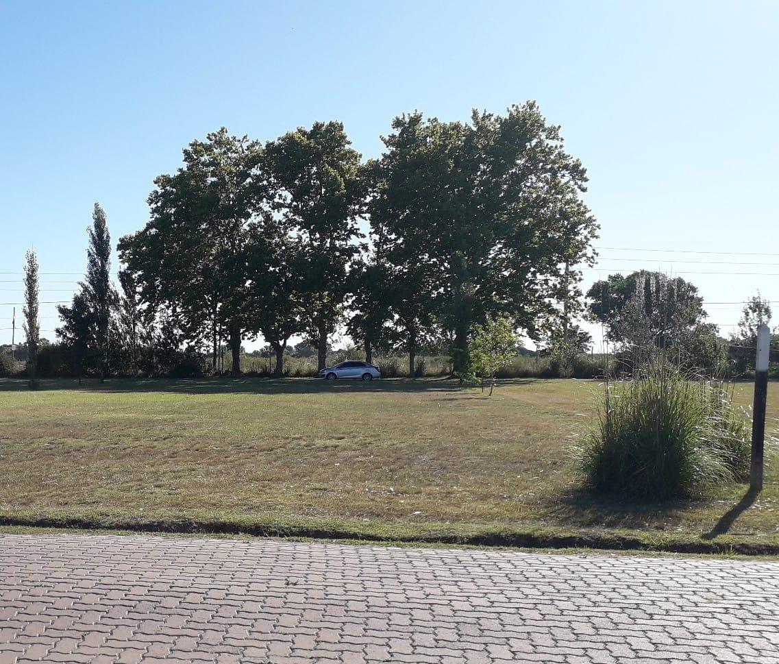 7131890_24905490943324820365882988919617639828184110079826298543463324048373720011884