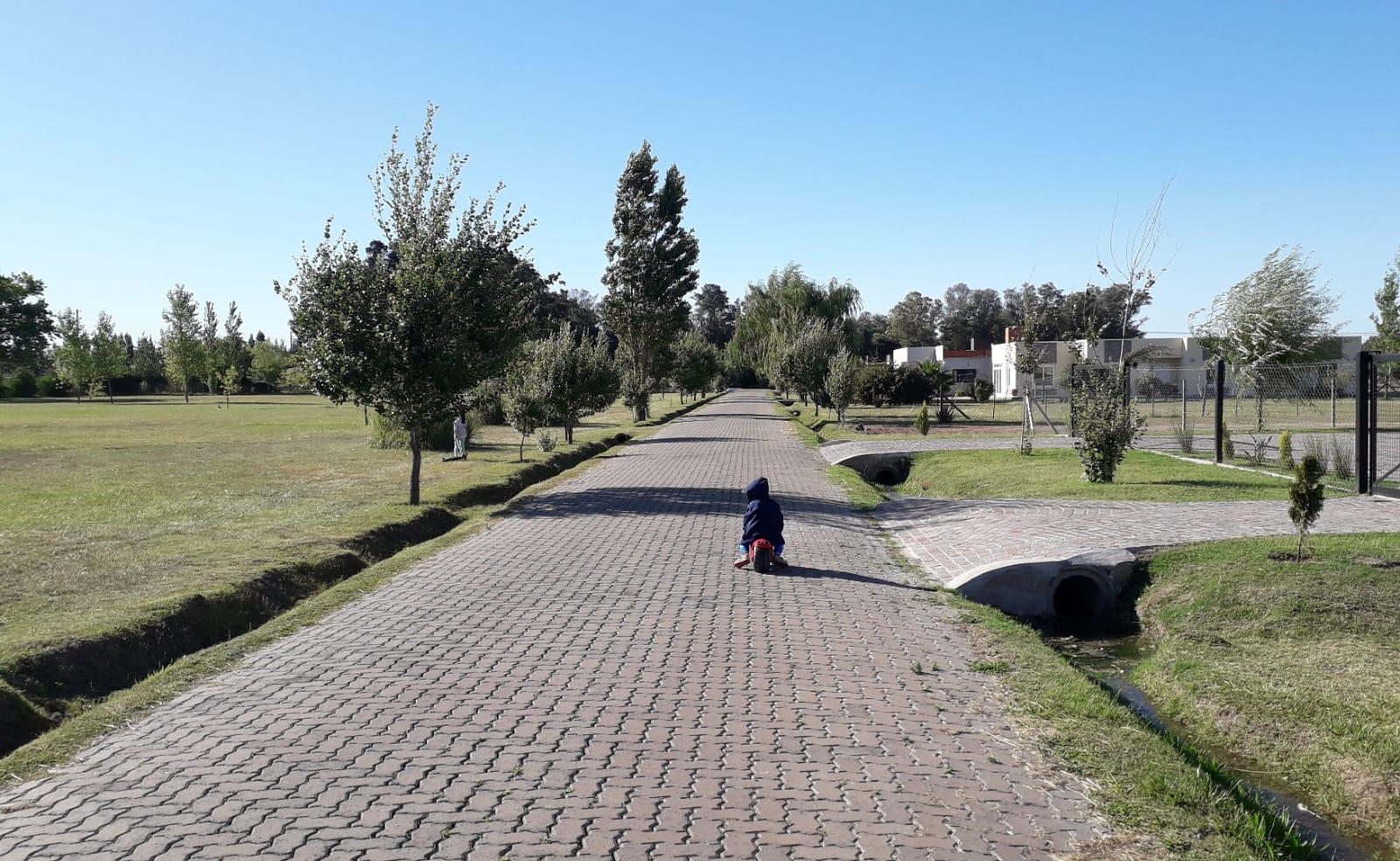 7131890_68492612734250438047557510483377559781774244562535690866413749091941624281838