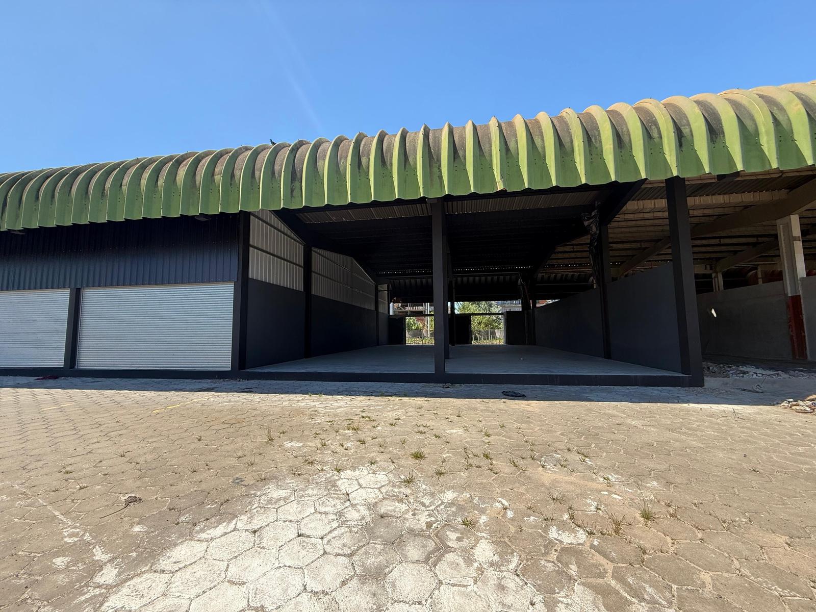 7768123_99174966105191061709785777582499930024089776621895308504334324217471255419309