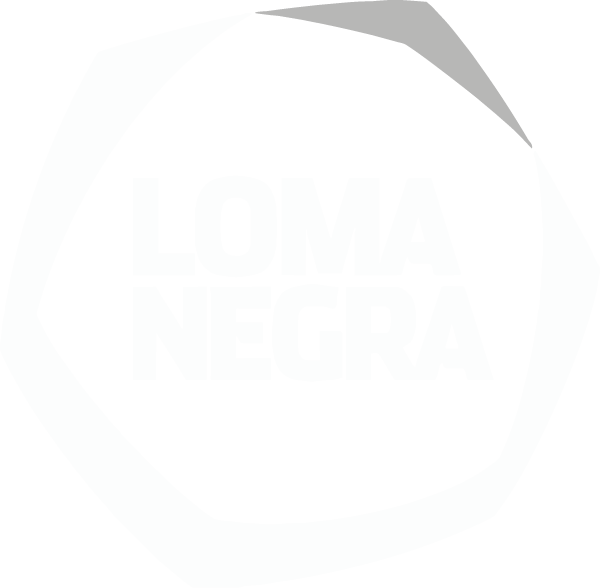 logo loma negra